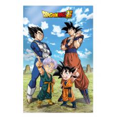 POSTER 3D 58X38CM BATTLE OF GODS GOKU VEGETA FAMILY DRAGON BALL SUPER
