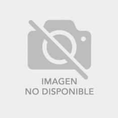 TARJETA MEMORIA MICRO SECURE DIGITAL SDXC SANDISK HIGH ENDURANCE / 128GB / CLASE 10 / SDXC
