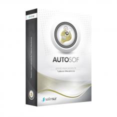 PROGRAMA DE GESTION INTEGRAL DE TALLERES DE COCHES MONOPUESTO SOLINSUR LICENCIA ELECTRONICA
