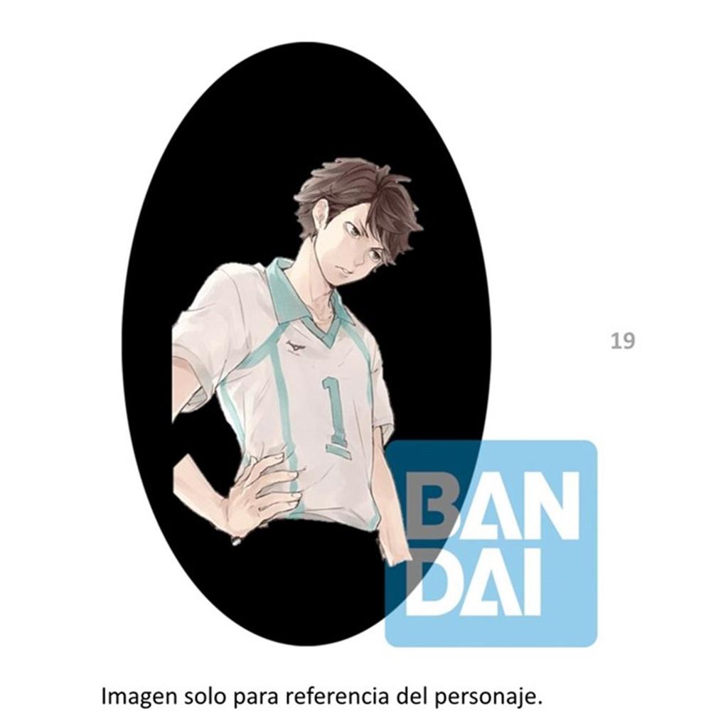 Imagen - DYN0000005651